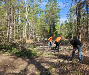 Trail Cleanup