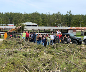 Kinmount Cleanup