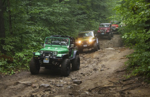 Never travel alone on the trail