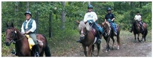 Equestrian_3L